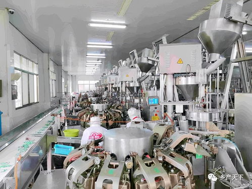 红太阳精品 东“菜”西“薯”，争做保障供给排头兵